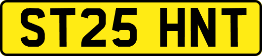ST25HNT