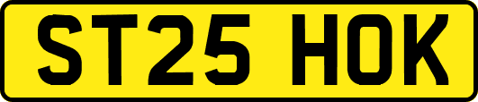 ST25HOK
