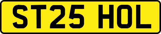 ST25HOL