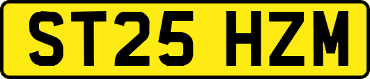 ST25HZM