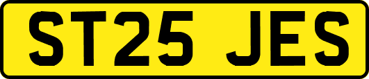 ST25JES