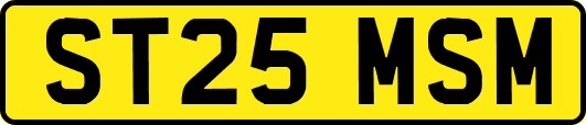 ST25MSM