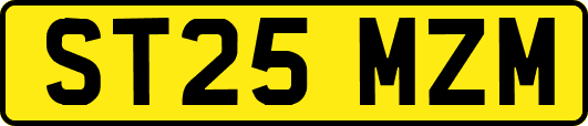 ST25MZM