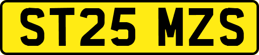 ST25MZS