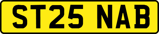 ST25NAB