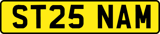 ST25NAM