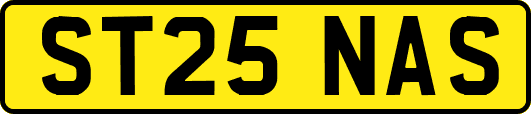 ST25NAS