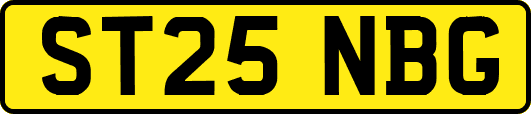 ST25NBG