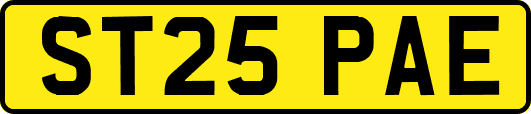 ST25PAE