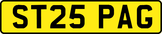 ST25PAG