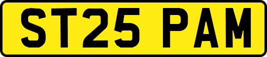 ST25PAM