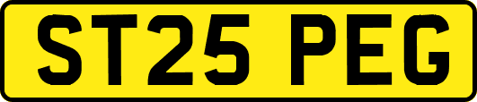 ST25PEG