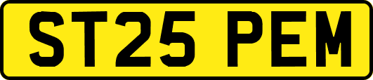 ST25PEM