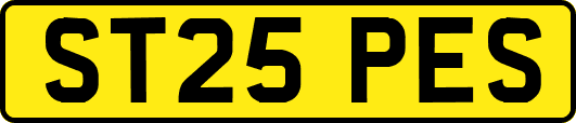 ST25PES