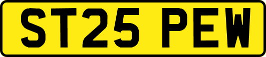 ST25PEW