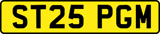 ST25PGM