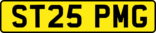 ST25PMG