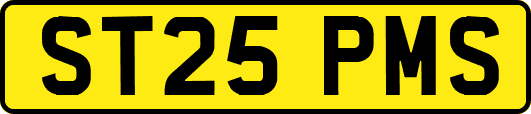 ST25PMS