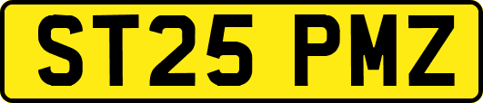 ST25PMZ