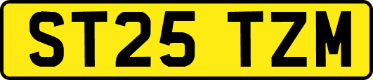ST25TZM