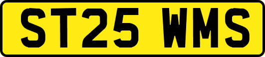 ST25WMS