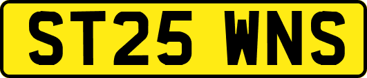 ST25WNS