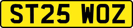 ST25WOZ