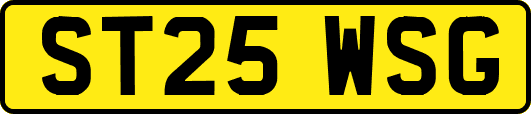 ST25WSG
