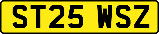 ST25WSZ