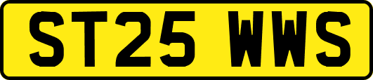 ST25WWS