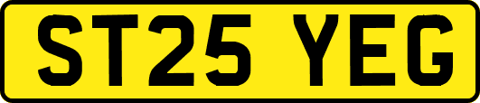 ST25YEG