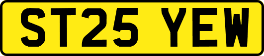 ST25YEW
