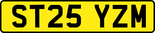 ST25YZM