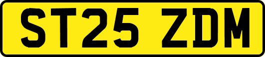 ST25ZDM