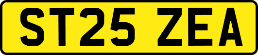 ST25ZEA