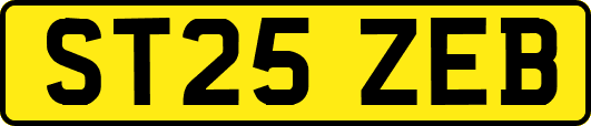 ST25ZEB