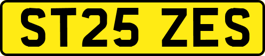 ST25ZES