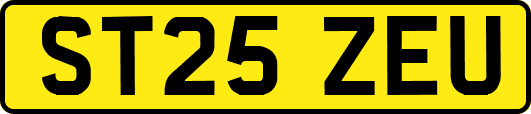 ST25ZEU