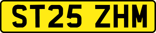 ST25ZHM