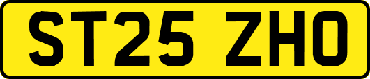 ST25ZHO