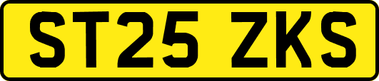 ST25ZKS