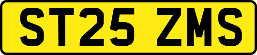 ST25ZMS