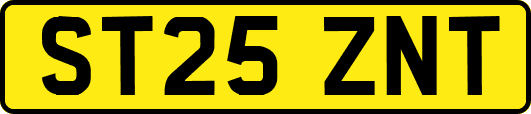 ST25ZNT