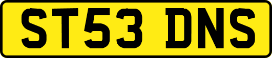 ST53DNS