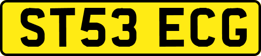 ST53ECG
