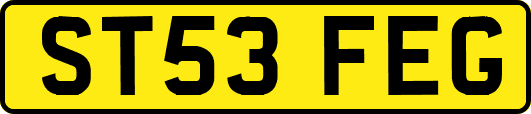 ST53FEG