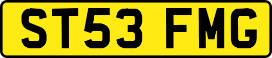 ST53FMG