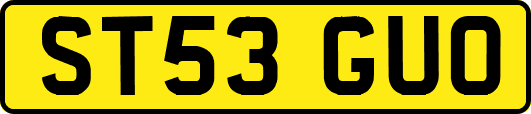 ST53GUO