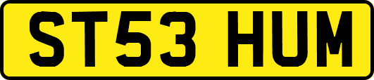 ST53HUM