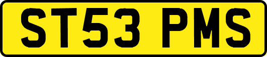 ST53PMS